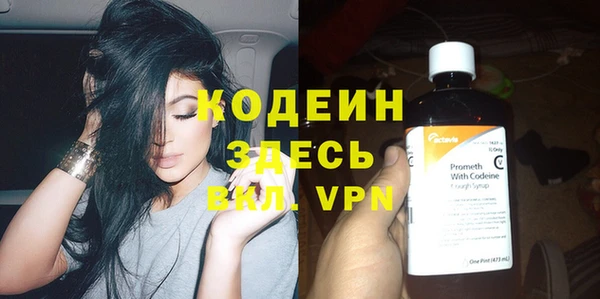 прущие грибы Уссурийск