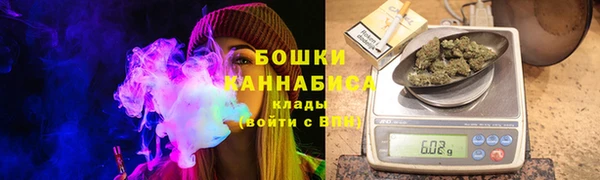 прущие грибы Володарск