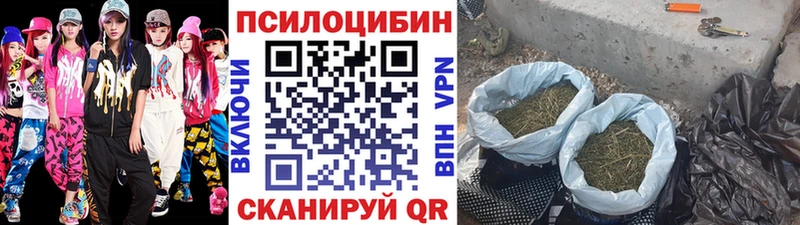 Галлюциногенные грибы Psilocybe  Емва 